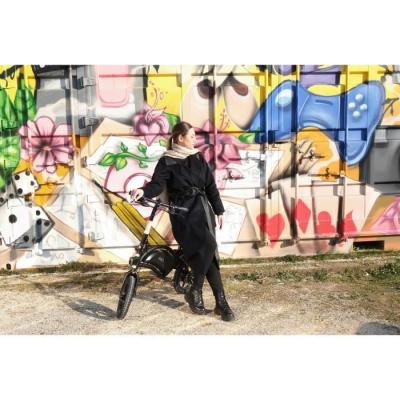 Trottinette électrique UrbanGlide 160 Black - Performances ultimes