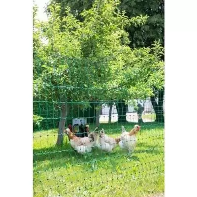 Filet pour poules 50m - Double pointe - Vert - Non électrique