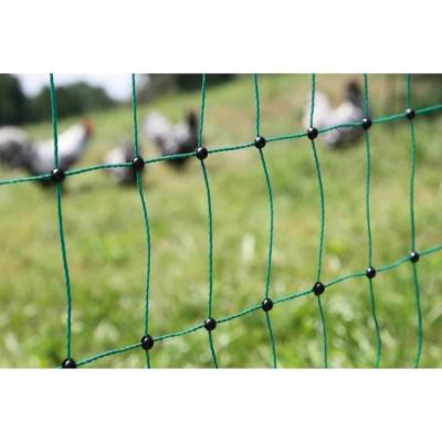Filet pour poules 50m - Double pointe - Vert - Non électrique