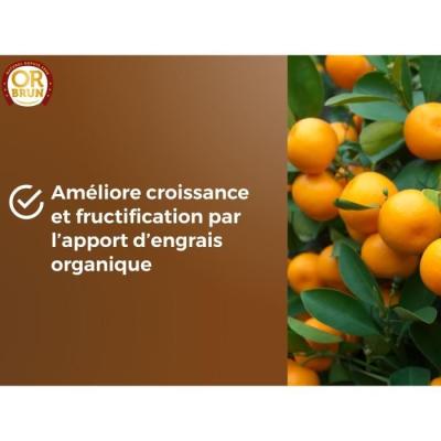 Terreau agrumes et plantes méditerranéennes 20 L - OR BRUN