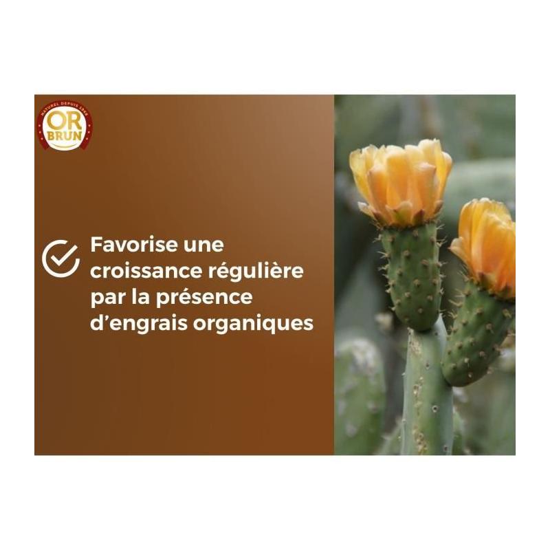 Substrat cactus & Plantes grasses - OR BRUN - Favorise croissance