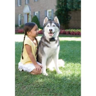 Collier supplémentaire pour clôture anti-fugue PETSAFE