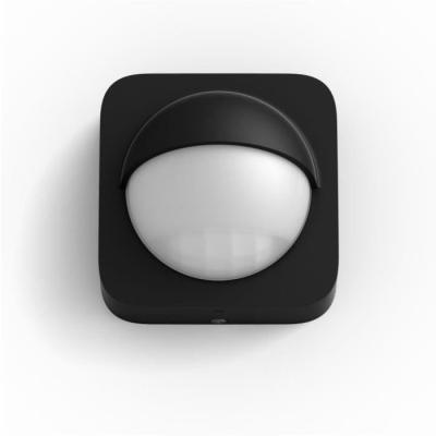 Détecteur mouvement extérieur Philips Hue - Noir - 160°
