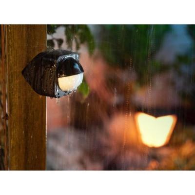 Détecteur mouvement extérieur Philips Hue - Noir - 160°