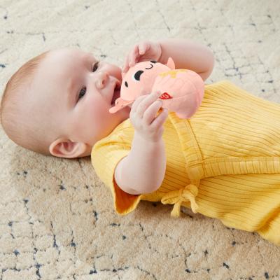 Fisher-Price – Coffret Les Sens en Éveil