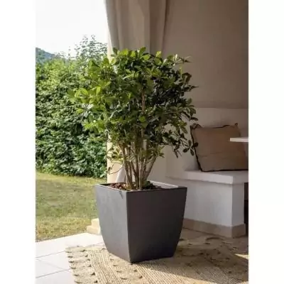 Bac a fleurs DIVA BASALT Gris anthracite 42 L - EDA Bac a fleurs DIVA BASALT Gris anthracite 42 L - EDA