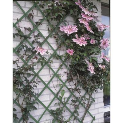 Treillis extensible en plastique vert - 50 x 150 cm