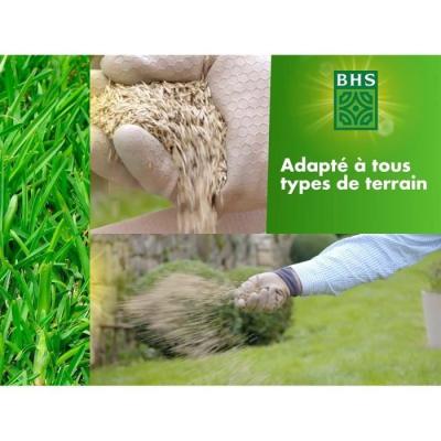 Gazon Rustique BHS - 5kg - Jardins Traditionnels - Dense & Esthétique