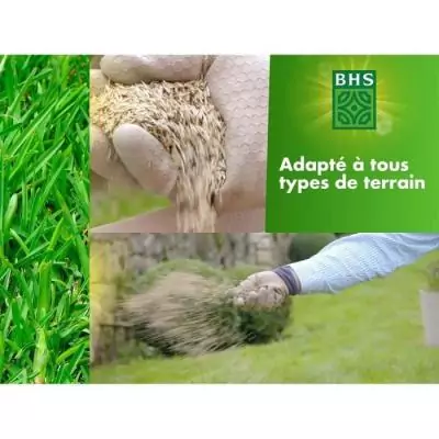 Gazon Rustique BHS - 5kg - Jardins Traditionnels - Dense & Esthétique