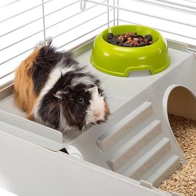 Cage Ferplaste Cavie 80x1 - Gris clair - Idéal pour petits animaux