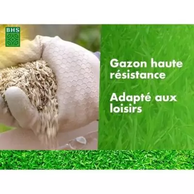 Gazon BHS Haute Résistance 10KG - Usage Intensif