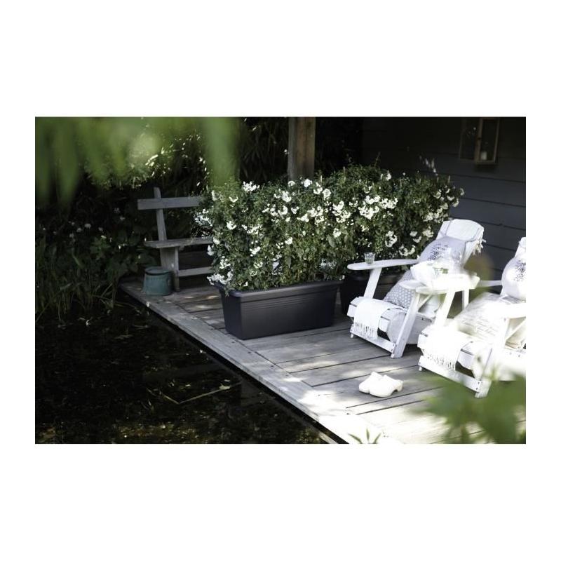 Jardinière ELHO Green Basics 60 - Vivre noir - XXL