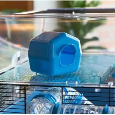 Cage FERPLAST DUNA FUN LARGE - Bleu - 3 étages - Spacieuse et ludique Cage FERPLAST DUNA FUN LARGE - Bleu - 3 étages - Spacieuse et ludique