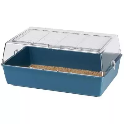 Découvrez la cage FERPLAST Duna Multy W2 bleue pour petits animaux avec ses dimensions compactes et pratiques. Livraison rapide!