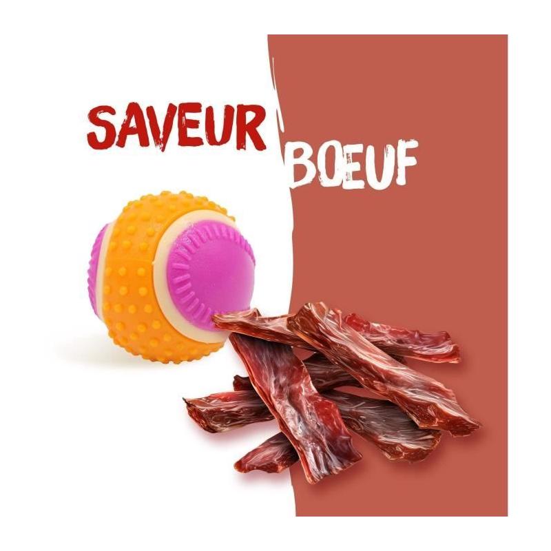Découvrez AIMÉ 5 en 1 Boeuf : la Balle pour chien gourmande !