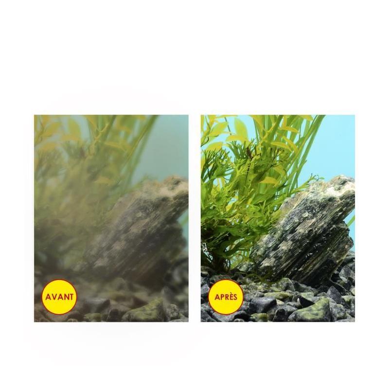 Recharges de Filtration CIANO pour Aquarium - Pack 3 mois, Taille L