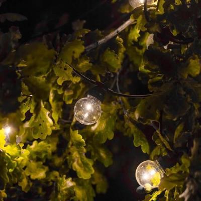 Guirlande solaire transparente - 10 globes - LED blanc chaud