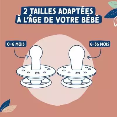 Sucettes Dodie Gaia +6m en caoutchouc naturel - Lot de 2 - Idéal pour les tout-petits Sucettes Dodie Gaia +6m en caoutchouc naturel - Lot de 2 - Idéal pour les tout-petits