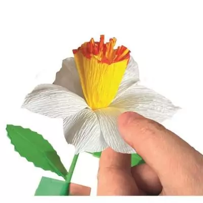 Puzzle CLEMENTONI - Crée tes fleurs - Narcisse : un jeu créatif!