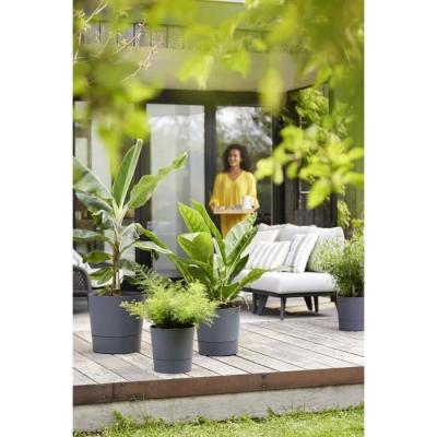 Pot de fleur Elho Plastique Carré Greensense Aqua Care Gris Charbon 29,5 x 29,5 x H 29,1 cm