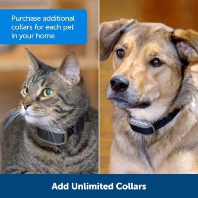 Collier Mini Barrier PETSAFE - Noir - Pour chien et chat