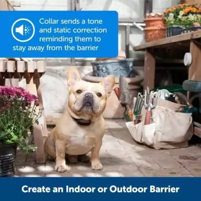 Collier Mini Barrier PETSAFE - Noir - Pour chien et chat