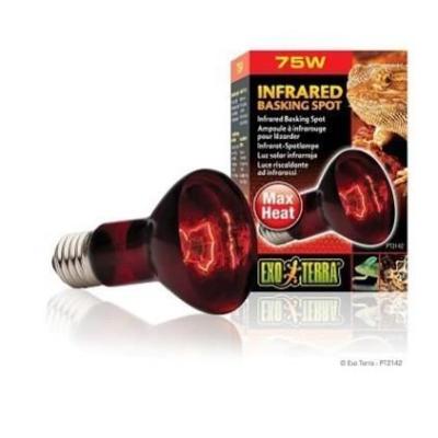 Lampe infrarouge 75 W pour un bain de soleil parfait