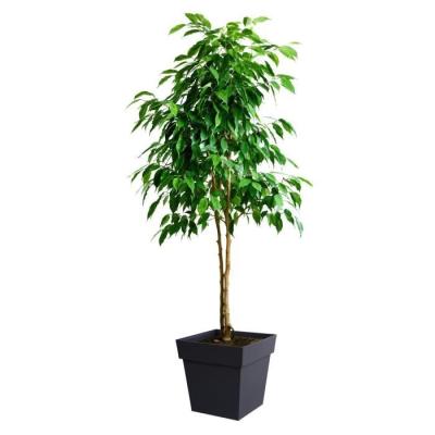 Pot de fleur carré Toscane - 39 x 39 x H 39 cm - Gris anthracite