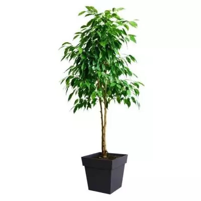 Pot de fleur carré Toscane - 39 x 39 x H 39 cm - Gris anthracite