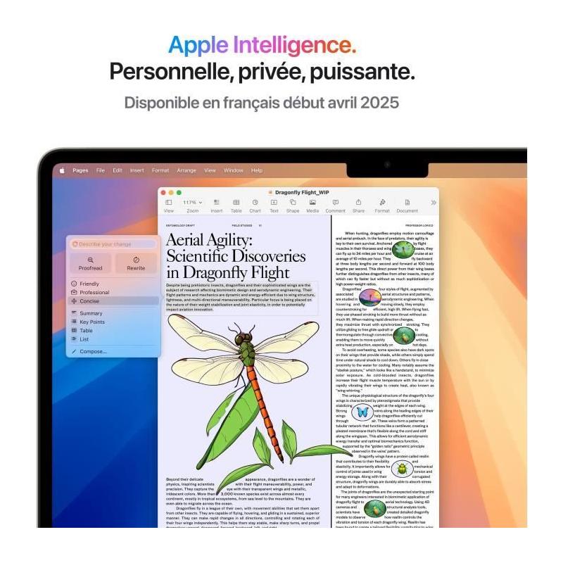 MacBook Air M4 (2025) 13,6" - RAM 24Go - Stockage 512Go - CPU/GPU 10 cœurs - Lumiere Stellaire