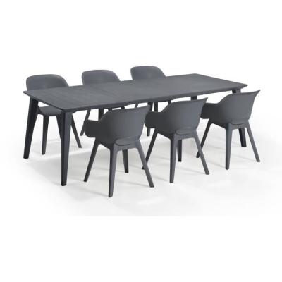 Table de jardin en résine Lima - Gris graphite - 8 à 10 personnes