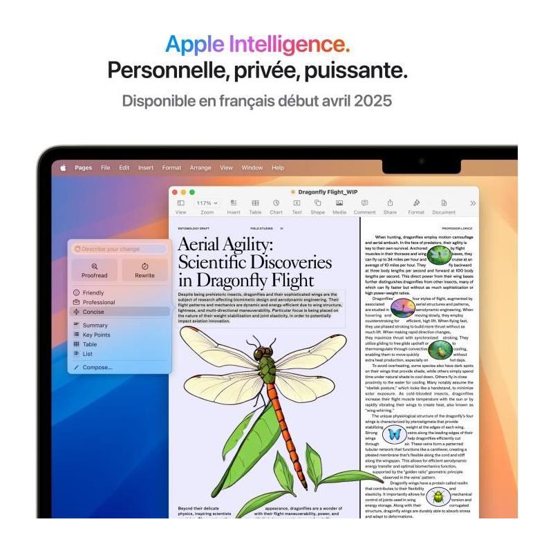 MacBook Air M4 2025: RAM 16Go, Stockage 512Go, CPU et GPU 10 coeurs - Lumiere Stellaire