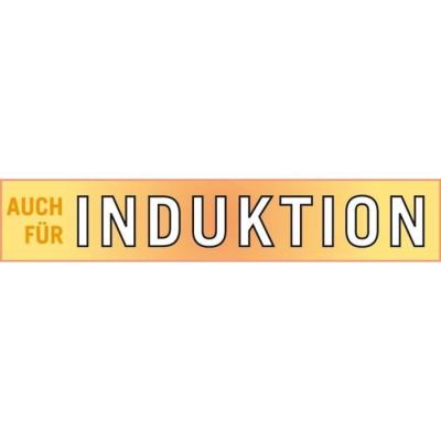 Faitout GSW RIGO 24 cm Induction Acier Inoxydable