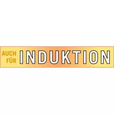 Faitout GSW RIGO 24 cm Induction Acier Inoxydable