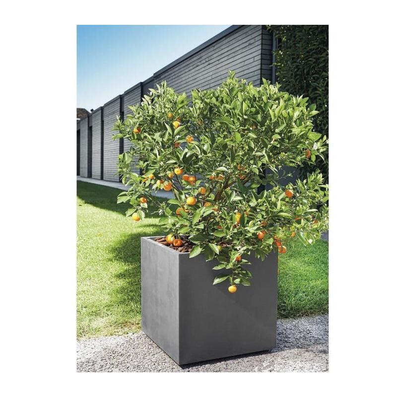 Pot de fleur Cube DEROMA Millennium R Anthracite 49 cm