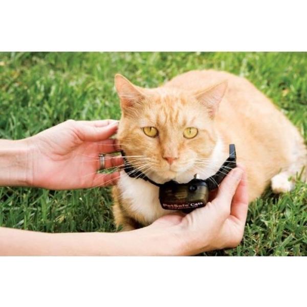 PetSafe - Collier supplémentaire pour clôture anti-fugu chat, 4 niveaux de stimulation, léger, réglable et anti-étranglemen