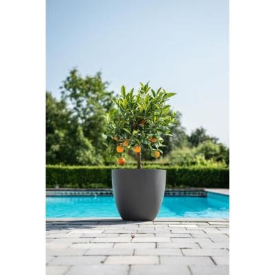 Pot de fleurs Phoenix Anthracite - 48 x 42 cm - 100% Recyclé et Résistant - Pour Exté
