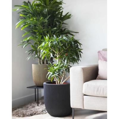Pot de fleur boule CAPI EUROPE GROOVE NL 35 x 34 cm Noir/Or