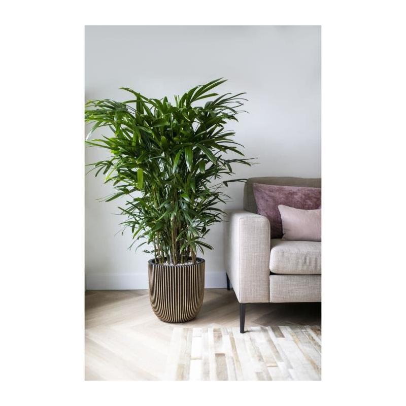 Pot de fleur boule CAPI EUROPE GROOVE NL 35 x 34 cm Noir/Or