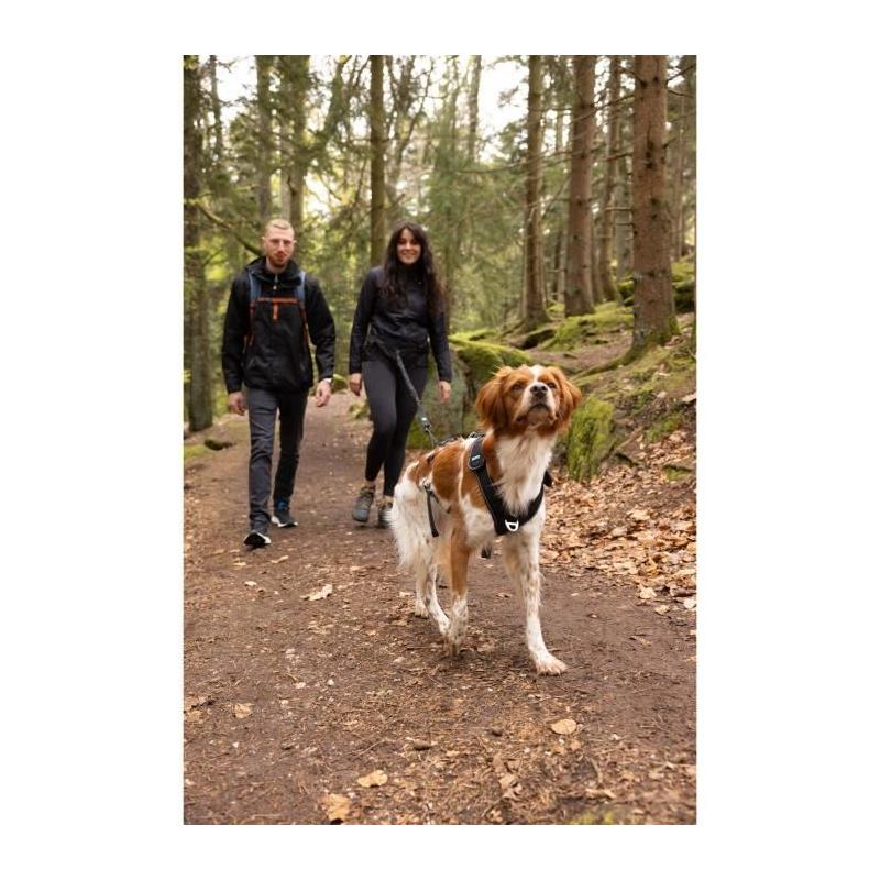 Harnais pour chien SYMBIOZ XL Noir/Bleu - Confort et style