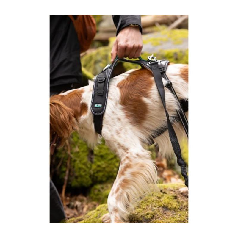 Harnais pour chien SYMBIOZ XL Noir/Bleu - Confort et style