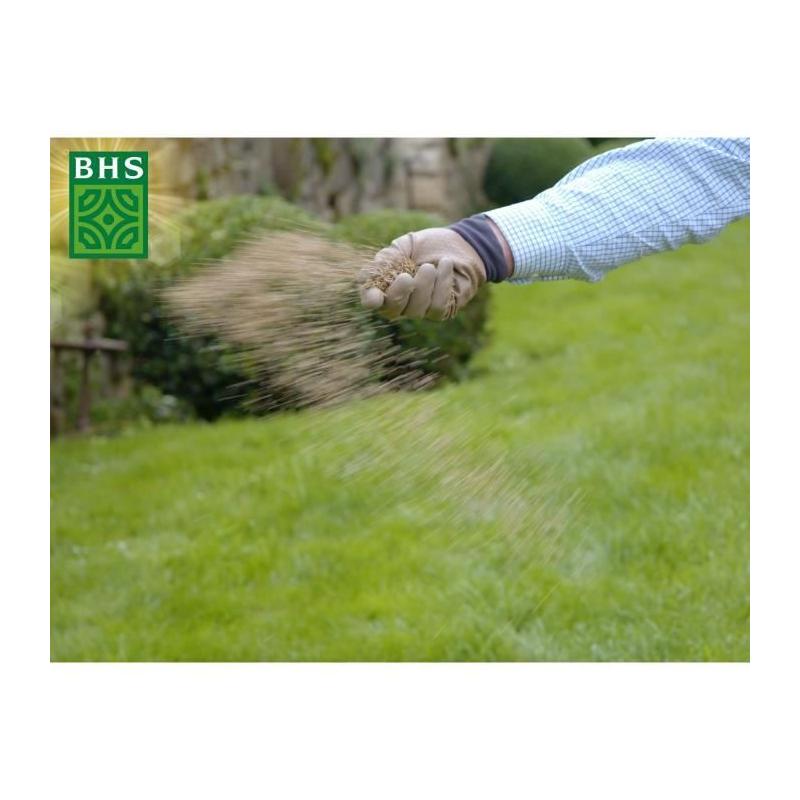 Refloraison efficace avec Gazon Regarnissage 3kg