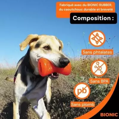 Jouet pour chien BIONIC Os Medium 12 cm - Caoutchouc ultra résistant