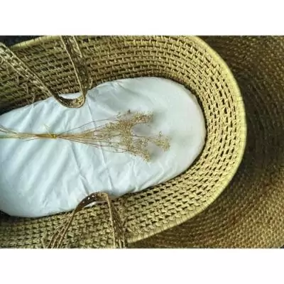 Protection optimale avec l'Alese éponge CANDIDE - 40x80 cm - Blanc