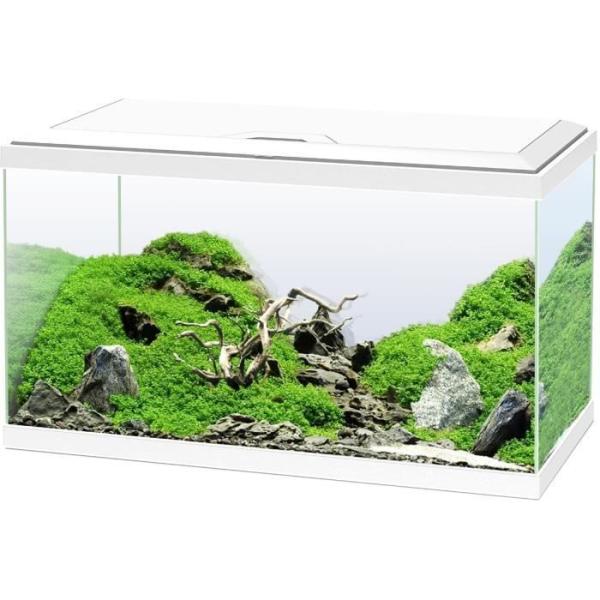 Aquarium 60 - CIANO - 58 L + Filtre + LED + Chauffage + Consommables - Blanc