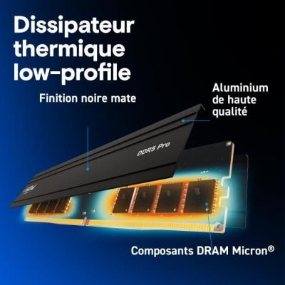 Kit Mémoire RAM CRUCIAL DDR5 PRO 48 Go (2 x 24 Go) - Performances ultimes