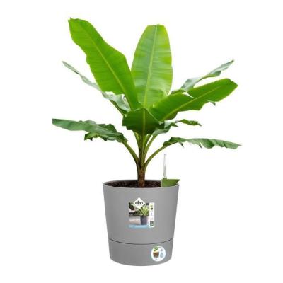Pot de fleur Elho carré Greensense Aqua Care 29,5 x 29,5 x H29,1 cm 15 L