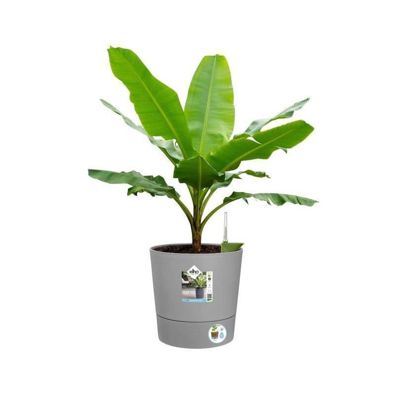 Pot de fleur Elho carré Greensense Aqua Care 29,5 x 29,5 x H29,1 cm 15 L