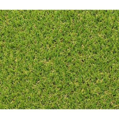 Gazon synthétique Exelgreen Campus 25mm - Qualité Premium