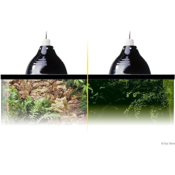 Lampe d'éclairage pour terrarium - EXO TERRA - Glow Light S - Pince avec douille porcelaine - Réflecteur lumineux - Jour/nuit